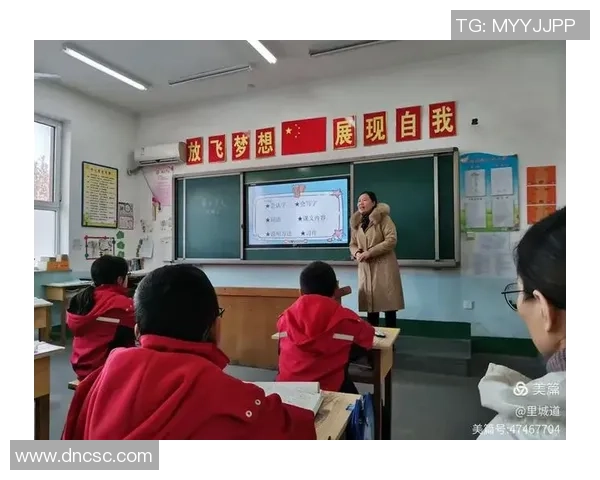 深入解析踢足球术语的魅力与技巧提升之道